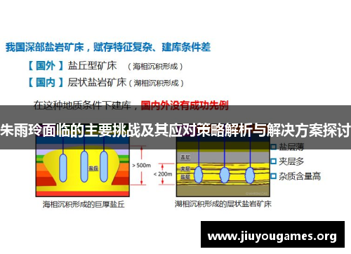 朱雨玲面临的主要挑战及其应对策略解析与解决方案探讨
