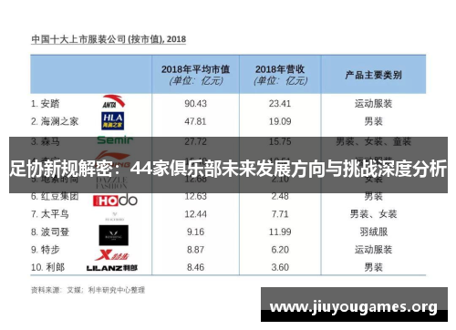 足协新规解密：44家俱乐部未来发展方向与挑战深度分析